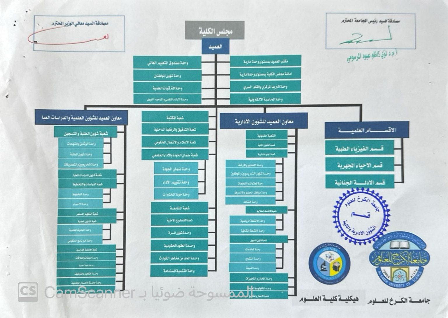 هيكلية الكلية